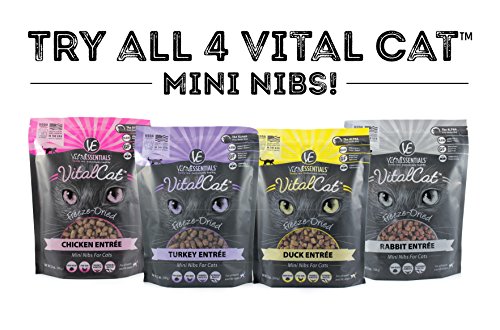 vital essentials mini nibs