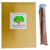 (10) 6" inch Solid Copper Spikes Tree Killing Nails! Includes 6" Drill Bit Free!