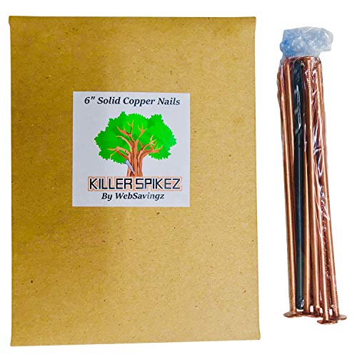 (10) 6" inch Solid Copper Spikes Tree Killing Nails! Includes 6" Drill Bit Free!
