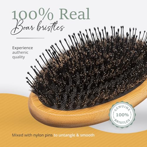 Belula Boar Bristle Hair Brush - Hair Brushes for Women & Mens Hair Brush, Detangler Brush, Hairbrush, Detangling Brush for Long, Curly or Any Type of Hair.