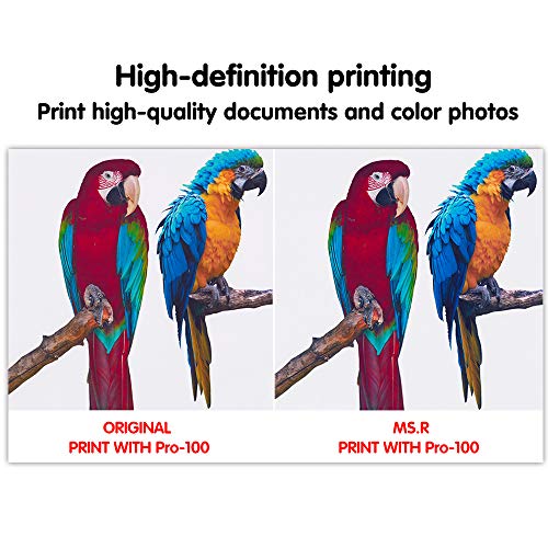 MS.R Compatible Ink Cartridges Replacement for Canon Cli-42 Professional Inkjet PIXMA PRO-100