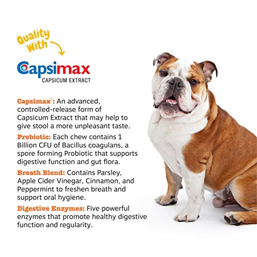 Zesty Paws Chew No Poo Bites Coprophagia Stool Eating Deterrent for