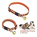 Mudder Reflective Safe Pets Collar Breakaway Safety Cat Dog Puppy Kitten Collars with Bells, 4 Colors, Adjustable Length 6 - 10 Inches