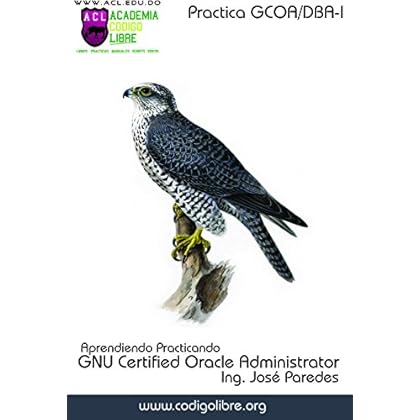 Aprendiendo Practicando Oracle GCOA-DBA-I Aprendiendo Practicando Oracle GCOA-DBA-I