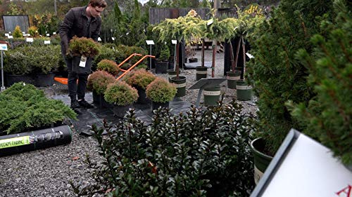 Weed Armor Pro 30,Ground Cover Landscape Fabric, Weed Barrier Fabric, Stabilization, Underlayment (3'x50')