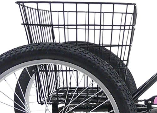 tri mantis tricycle 20