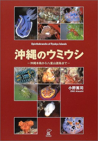 沖縄のウミウシ 沖縄本島から八重山諸島まで 小野 篤司 本 通販 Amazon