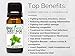 BioFinest Sweet Basil Oil - 100% Pure Sweet Basil Essential Oil - Premium Organic - Therapeutic Grade - Aromatherapy - Best For Flu - Help to Ease Dizziness- Remove Odors - FREE E-Book (10ml)