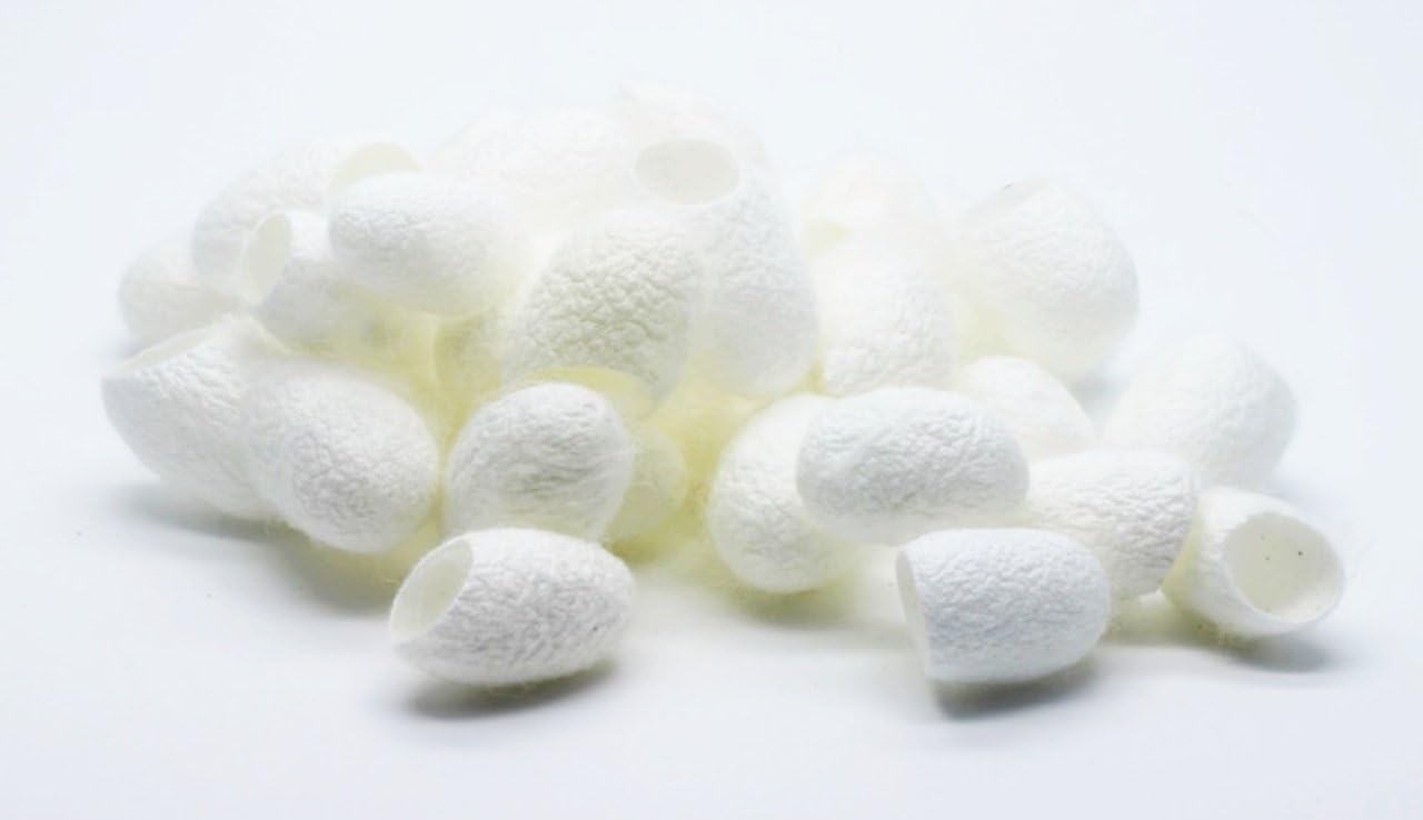 30 Organic Natural White Silk Cocoon Balls Facial Skin Care plus 10 Gold Leaf Leaves Sheets Organic PURE GOLD - EDIBLE