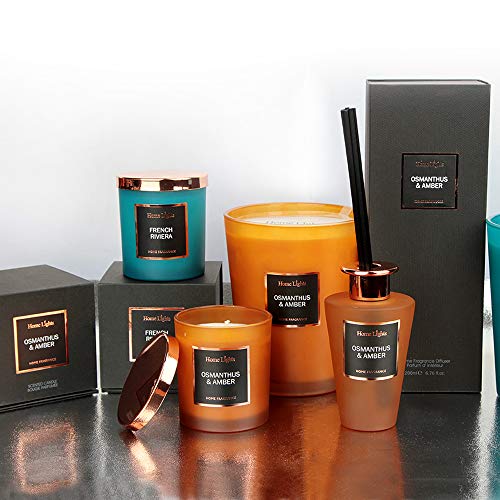Home Lights Reed Diffuser Gift Set, Natural Scented Long Lasting Osmanthus Amber Fragrance Oil for Home Office Gift Idea, Aromatherapy Air Freshener and Stress Relief, 200ml/6.76 fl.oz - Thumbnail 4