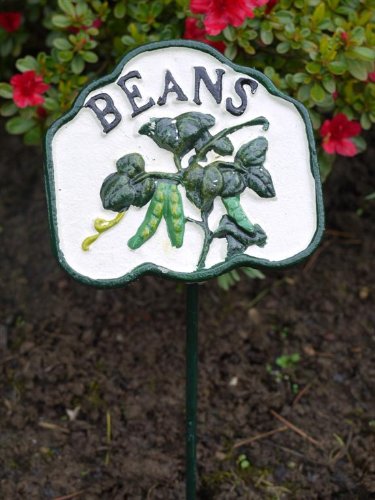 Brown & Ginger Colourful Hand-Painted Veg Signs - Various Styles Available (Beans)