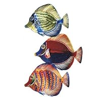 Next Innovations WA3DSAFishset Angel Fish Set Refraxions 3D Wall Art