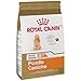 Royal Canin Breed Health Nutrition Poodle Caniche 8+ Adult Dry Dog Food, 3 lb bag