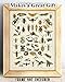 Insects Collection Entomology Illustration 11x14 Unframed Print – Bug & Insect Artwork, Scientific Insect Chart, Biology Classroom Decor, great for Office, Classroom, Farmhouse & Bug Lover Gifts