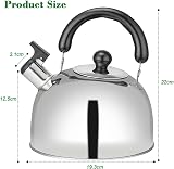 RAM 3L Heavy Duty Camping Kettle Gas Stove Portable Tea Pot view 4