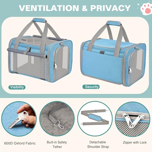 BTNEEU Foldable Cat Carrier Carrier Small Dog Carriers Airline Approved Breathable Carrier Bag with Inner Strap, Washable Soft Cushion and Adjustable Shoulder Strap (Sky Blue)