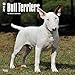Bull Terriers 2018 Wall Calendar