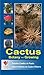 Cactus - Botany and Growing