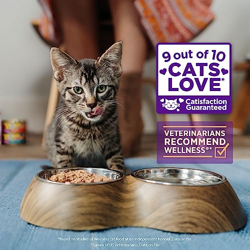Wellness CORE Tiny Tasters Wet Cat Food, Complete & Balanced Natural