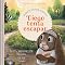 Livro Diego tenta escapar: quando você estiver estressado (Boas-novas para os coraçõezinhos)