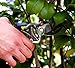 Anytime Garden Planted Perfect Planted Perfect Pruning Shears 8
