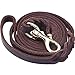 Taglory Premium Leather Dog Leash 6 Foot x 5/8 Inch, Braided Latigo Leather Training Leashes for Medium and Large Dogs, Brown