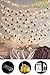 KASHIO Photo Clip String Lights, 50 LED String Lights with Clips 8 Modes 16.4 ft Waterproof, USB＆Battery Powered String Lights, Fairy Lights for Christmas Bedroom Wedding Party Birthday (50LED/16.4FT)
