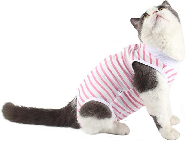 post surgery cat shirt