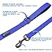 Max and Neo Small Dog Leash - Reflective Nylon, Donates to Dog Rescue (Teal, 6x5/8)