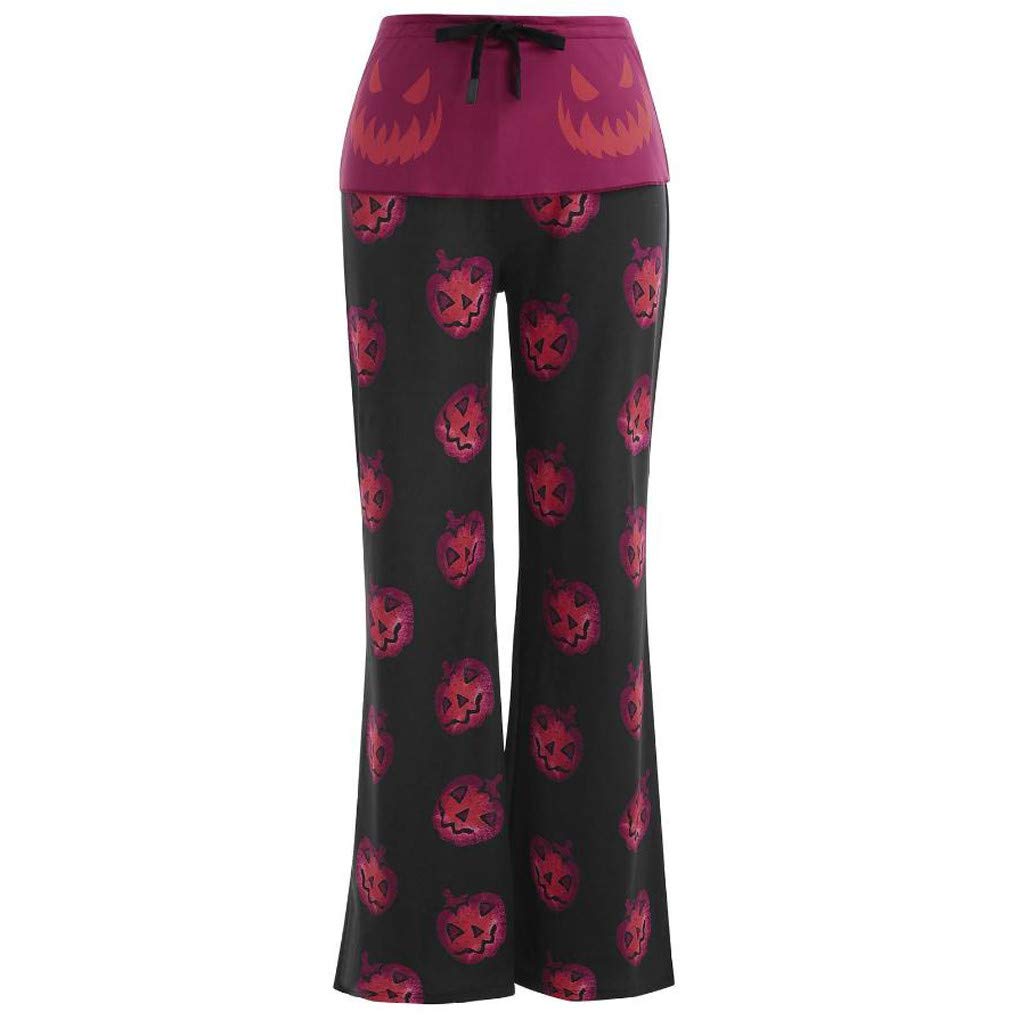 Which Is The Best 4X Genie