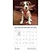 For the Love of Pit Bulls 2017 Calendar