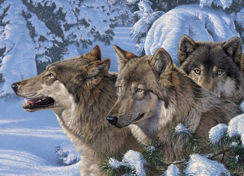 Wolves of Winter