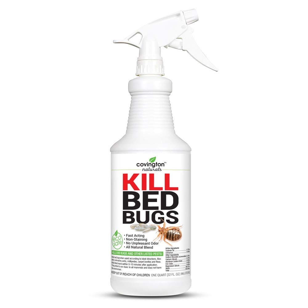 Best flea control carpet powder
