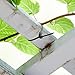 100Pcs 8 Inch Heavy Duty Industrial Zip Toes 40lbs Tensile Strength Releasable Black Tie Wraps Reusable Zip Toes Tie Straps For Garden Plant Secure Vine, Home Office