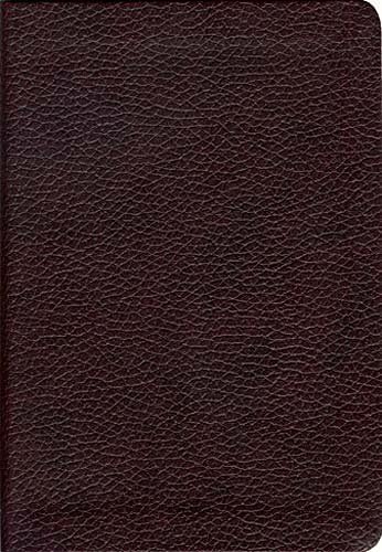 Holy Bible: New King James Version, Pocket Companion (Bible Nkjv)