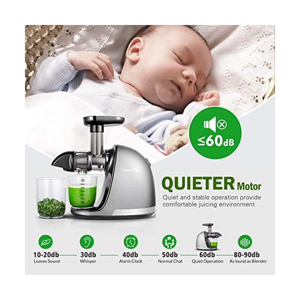 AMZCHEF Juicer Machines - Cold Press Slow Juicer - Masticating Juicer for Whole Fruits and Vegetables - Delicate Chew No…