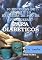Livro RECEITAS DE SUCO E PÃO PARA DIABÉTICOS: A alimentação ideal para você (SAÚDE Livro 2)