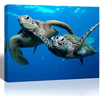 Purple Verbena Art 1 Panel Two Submarine Turtles Under The Sea Pictures Prints on Canvas Walls Paintings, Modern Seaview Animal Giclee Wall Artwork for Home Decor, Stretched and Framed, 12x16 Inch