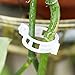 Ozzptuu 150PCS Plastic Plant Support Garden Clips Garden Twine Twist Ties for Tomato Vegetables Vine to Grow Upright,Whitethumb 4