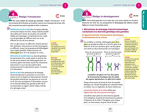 Annales du bac Annabac 2022 SVT Tle générale (spécialité): méthodes & sujets corrigés nouveau bac - Image 4