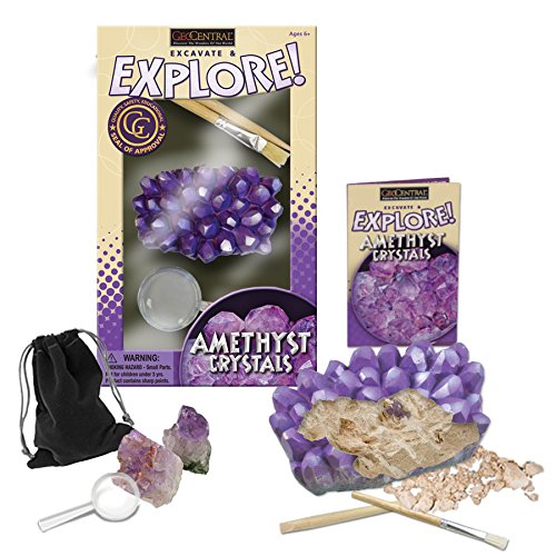 Geocentral excavation dig kit - amethyst clusters