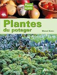 Plantes du potager