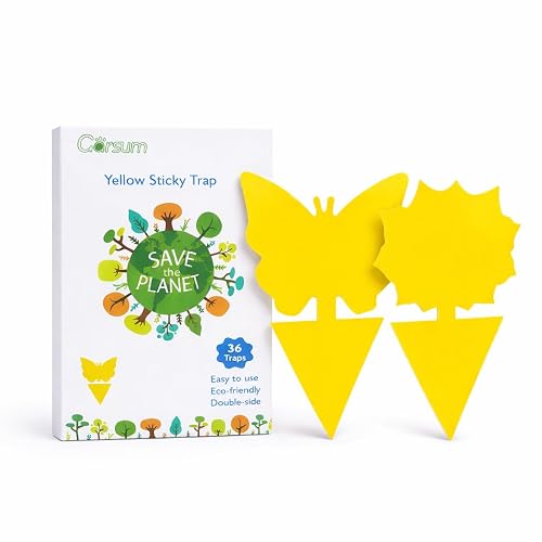 Garsum Fruit Fly Trap Indoor and Outdoor, 36 Pack Gnat Sticky Traps for House Plants, Flying Insect Trap for Fungus Gnat,Mosquitos, White Flies