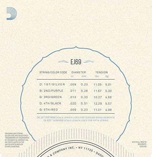 D'Addario EJ69 Phosphor Bronze 5-String Banjo Strings, Light, 9-20