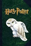 Harry Potter: Hedwig the Owl