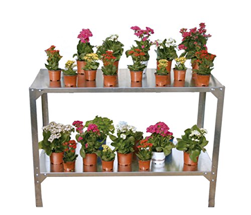 Palram HobbyGrower Galvanized 2-Level Shelving System