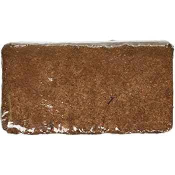 Coconut Coir Brick (1, Brick)