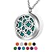 HOUSWEETY Aromatherapy Essential Oil Diffuser Necklace-Stainless Steel Locket Pendant,11 Refill Pads(Non-engraving)