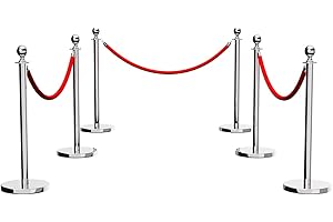 DANRELAX Stainless Steel Stanchion Post, 6 PCS 5FT Red Velvet Rope, Silver Stanchion Post with Ball Top, Hollow Base, Red Carpet Ropes and Poles, Crowd Control Barriers for Party