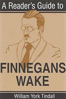 Bilderesultat for Finnegans wake